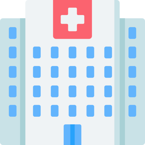 Medical Visa Icon